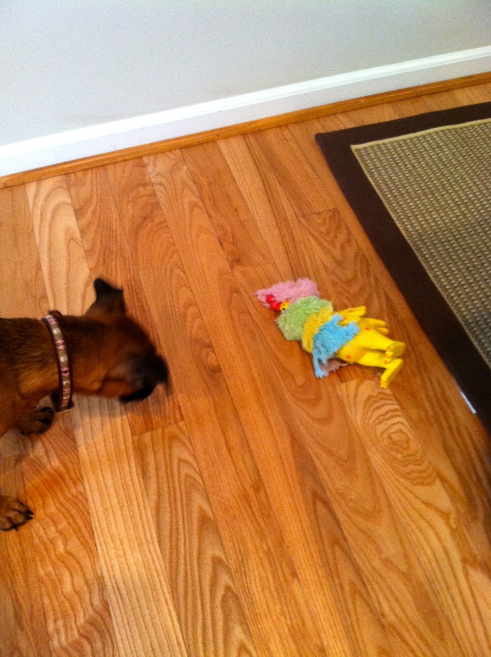 fuel sweat grow: freaky chicken