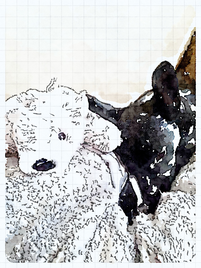 Painted in Waterlogue