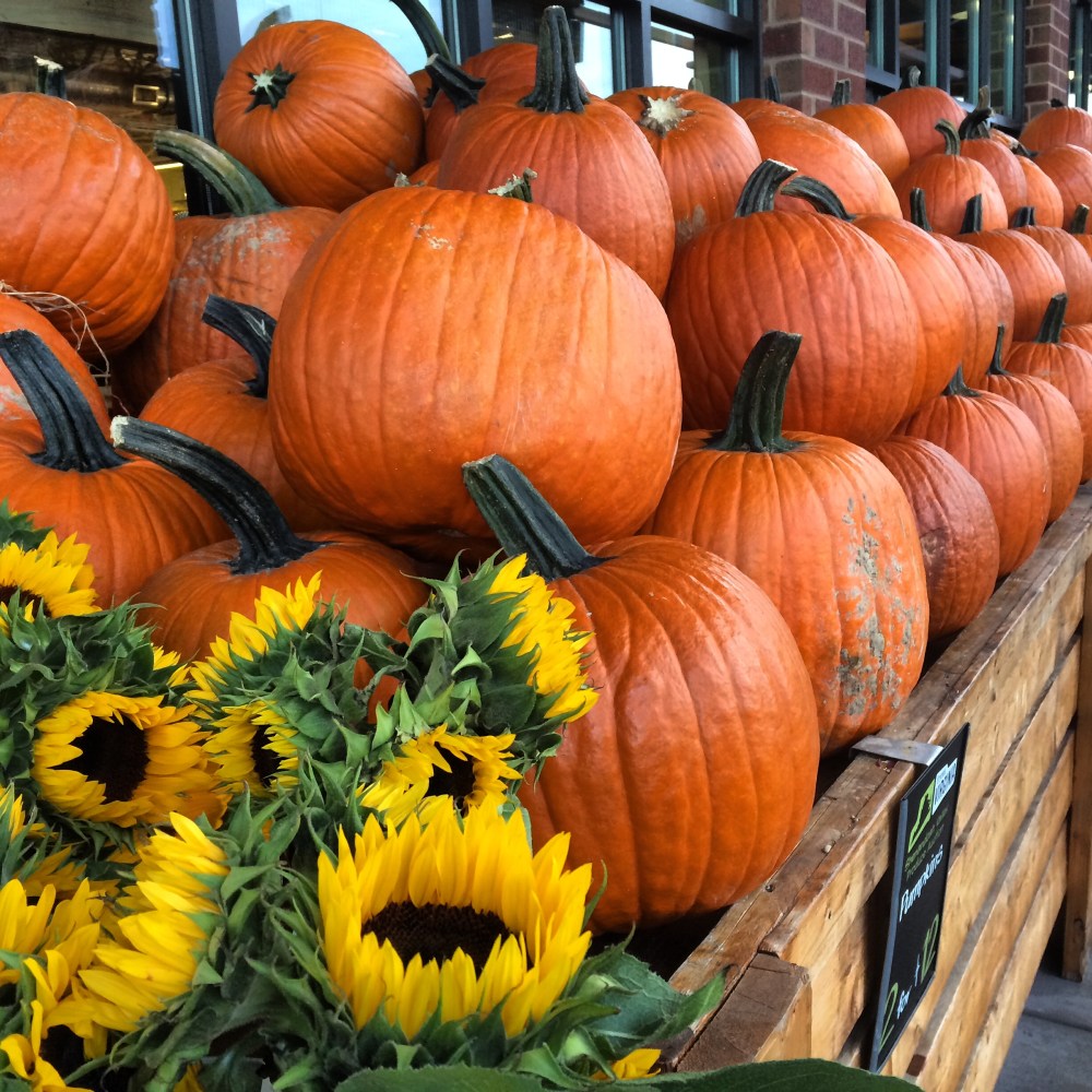 fuel sweat grow: pumpkins and fall
